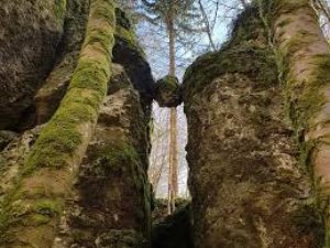 Absolut überwältigend wirkt dieses Labyrinth aus Karstgestein. Man kann schnell verstehen, wie der Name zustande kommt, wenn man durch die Gassen, Plätze und Straßen wandelt, die von Wasser und Wind über die Jahrhunderttausende in den Fels gearbeitet wurden. Wirklich jedem zu empfehlen! Image